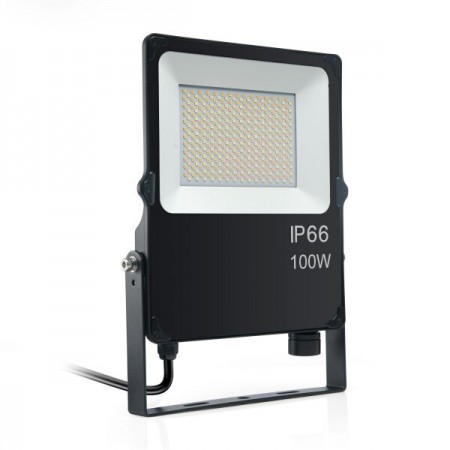 100W Proiector LED CCT Exterior IP65 IK08 - Ledel